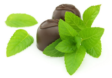 Similar image 198420