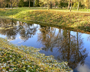 Similar image 198422