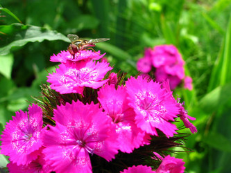 Similar image 198424