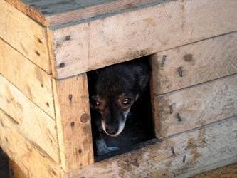 Similar image 198425