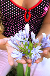 Similar image 198443