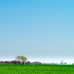 Similar image 198451