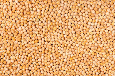 Similar image 198506