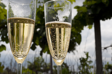 Similar image 198540