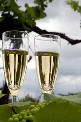 Similar image 198542