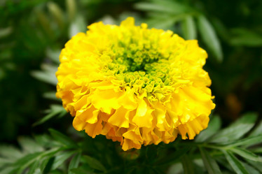 Similar image 198546