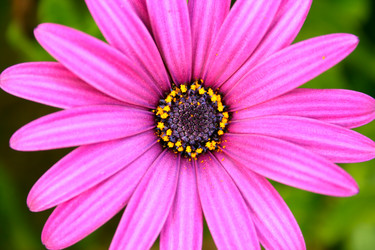 Similar image 198548