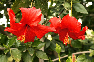 Similar image 198549