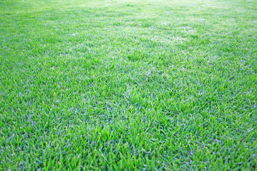 Similar image 198551