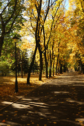 Similar image 198568