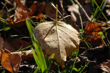 Similar image 198587