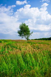 Similar image 198606