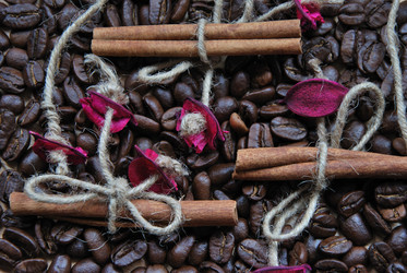 Similar image 198613