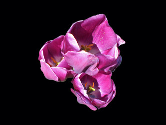 Similar image 198646