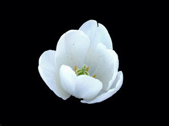 Similar image 198648