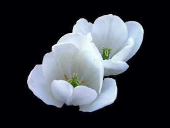 Similar image 198649