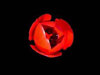 Similar image 198653