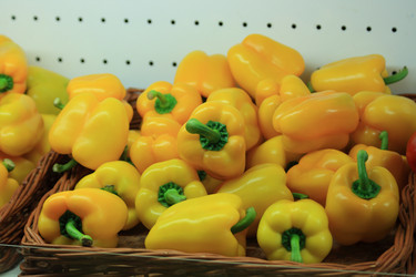 Similar image 198663