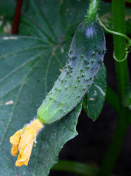 Similar image 198664