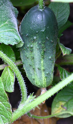 Similar image 198665