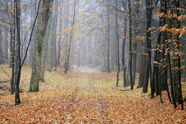 Similar image 198666