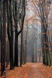 Similar image 198667