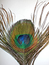 Similar image 198681