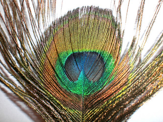 Similar image 198684