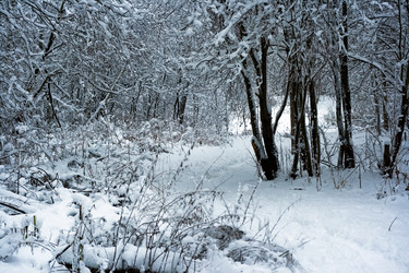 Similar image 198691