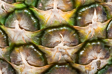 Similar image 198693