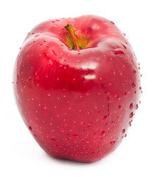 Similar image 198725