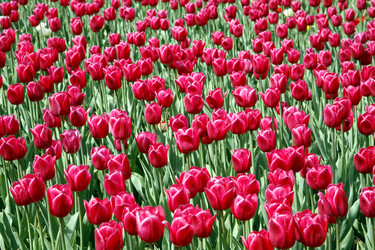 Similar image 198732