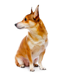 Similar image 198734