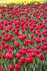 Similar image 198738