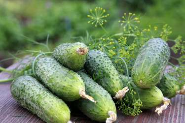 Similar image 198741