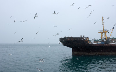 Similar image 198771