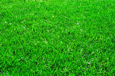 Similar image 198844