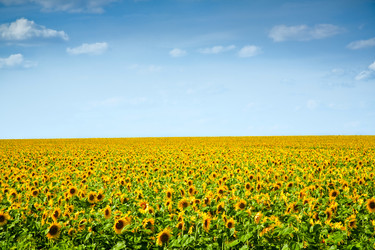 Similar image 198874