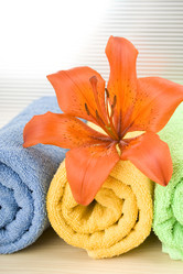 Similar image 198935