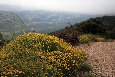 Similar image 198940