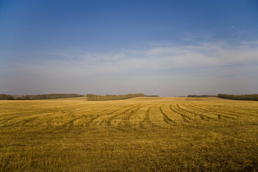 Similar image 198941