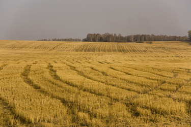 Similar image 198942