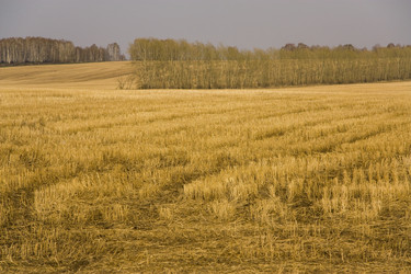 Similar image 198943