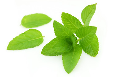 Similar image 198970