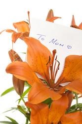 Similar image 199032