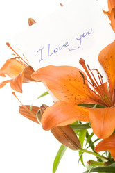 Similar image 199059