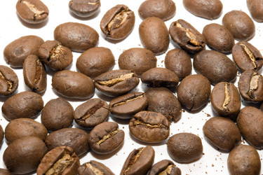 Similar image 199063