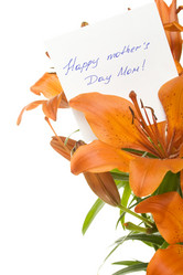 Similar image 199064