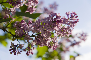 Similar image 199068