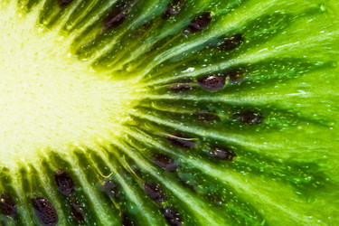 Similar image 199069